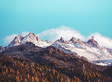 探索无限精彩——九游平台让游戏生活更精彩